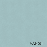 MA24001-05