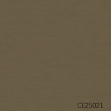 CE25021-25