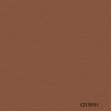 CZ170151-62