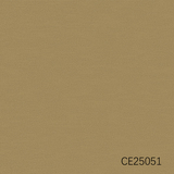 CE25051-55