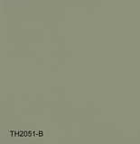TH2051-B~TH2060-B